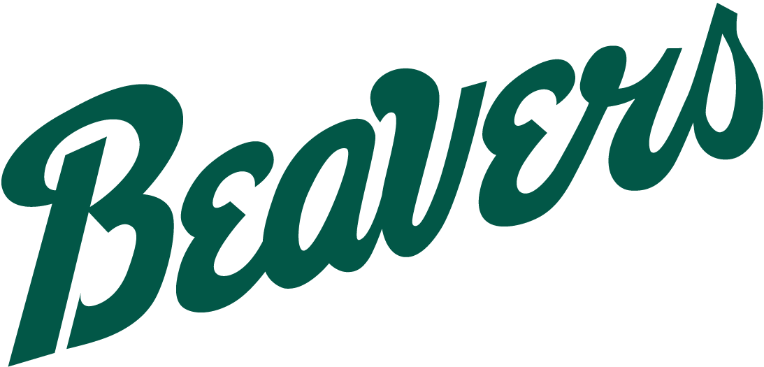 Bemidji State Beavers 2004-Pres Wordmark Logo iron on transfers for clothing